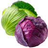 Капуста